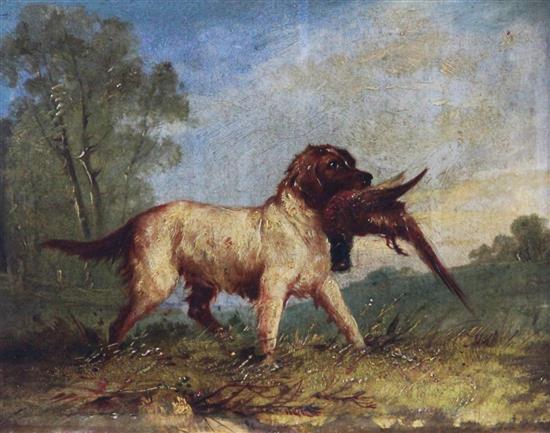 Circle of James Ward (1769-1859) Setter retrieving a pheasant, 6.5 x 8.5in.